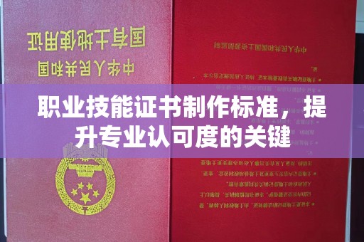岚县职业技能证书制作标准，提升专业认可度的关键
