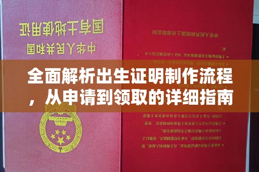岚县全面解析出生证明制作流程，从申请到领取的详细指南