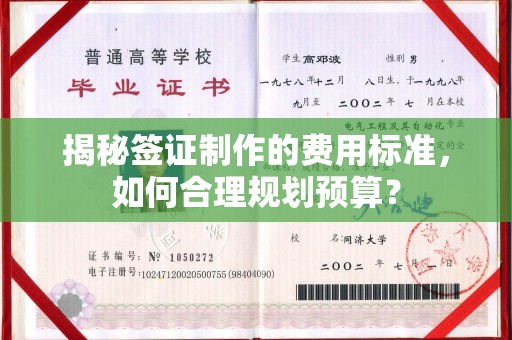 岚县揭秘签证制作的费用标准，如何合理规划预算？