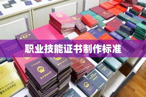 岚县职业技能证书制作标准