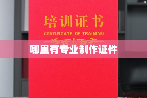 岚县哪里有专业制作证件