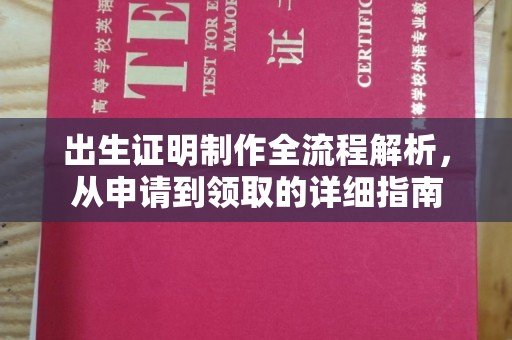 岚县出生证明制作全流程解析，从申请到领取的详细指南