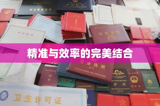岚县精准与效率的完美结合