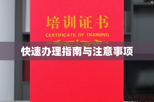 岚县快速办理指南与注意事项